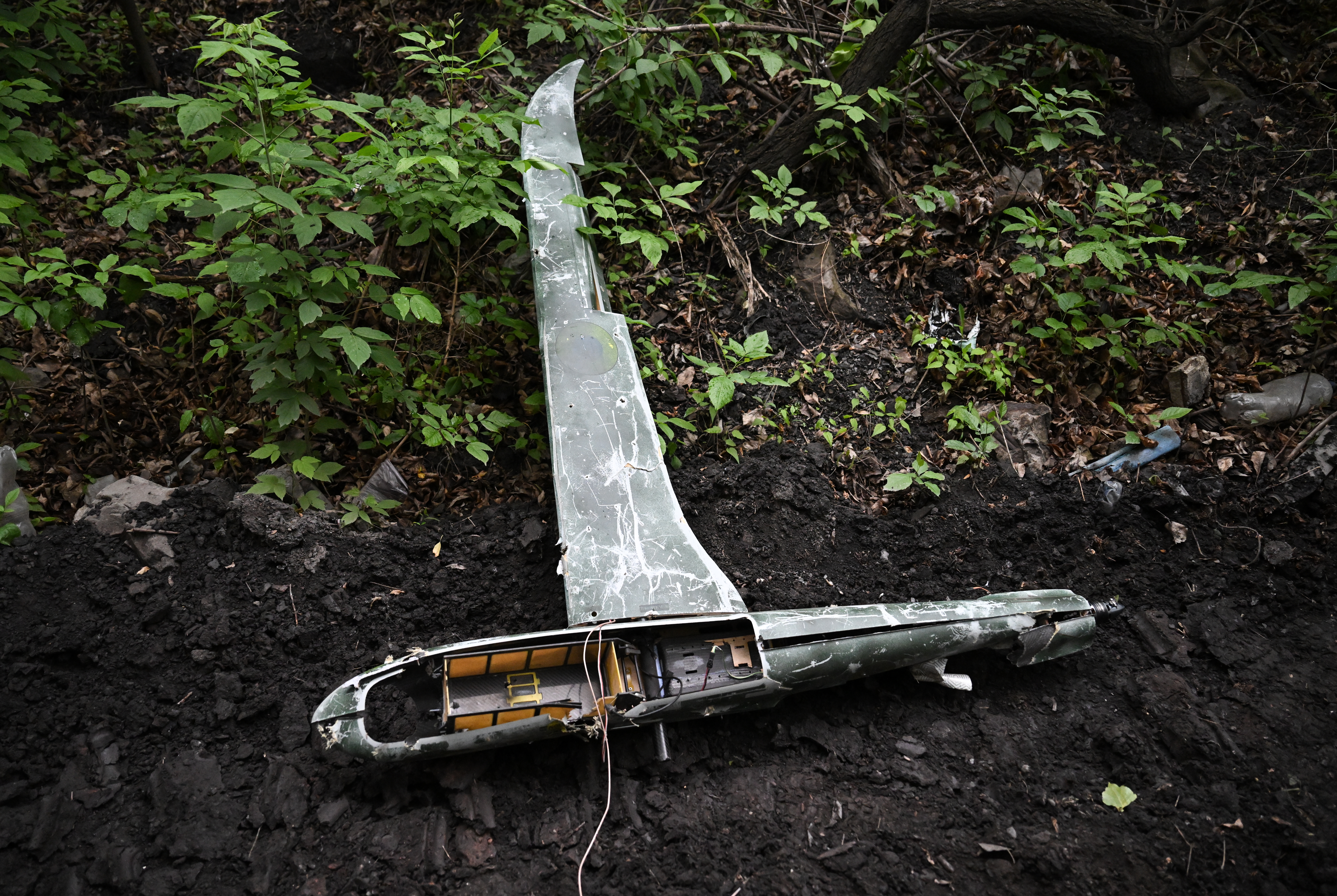 The Grey Swan Attack: Consequences of Targeting a Russian Presidential Residence