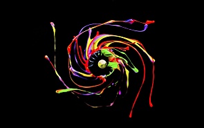 Towards Genuine Multi-Vector Alignment?