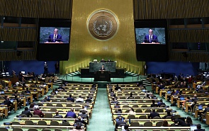 Reforming the UN: Possibility and Necessity 
