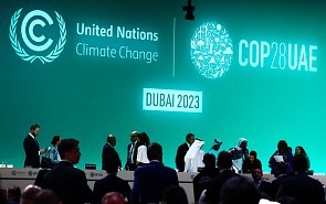  Valdai Club to Discuss the Results of the COP28 Climate Conference in Dubai 