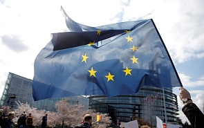 The European Parliament Elections: Promising Change, Delivering More of the Same?